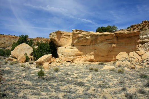 Yellow sandstone formations in Ojito Wilderness Study Area