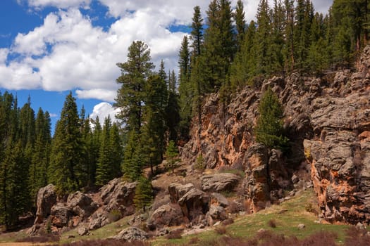 Alpine rock formation in New Mexico forest