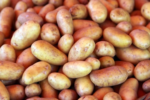 Potatoes