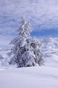 Winter dream in the Klostertal. Vorarlberg