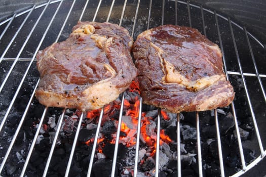Grill