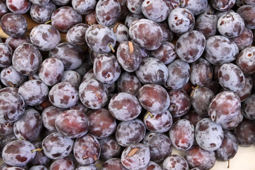 Plums