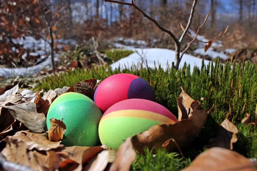 Easter eggs in the Reinhardswald
