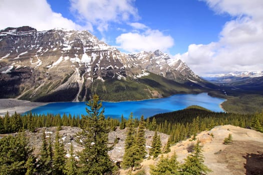 Lake Peyto,Canada