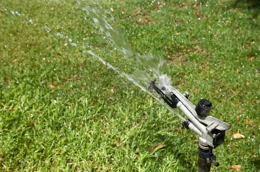 Detail of an automatic sprinkler irrigating a lawn
