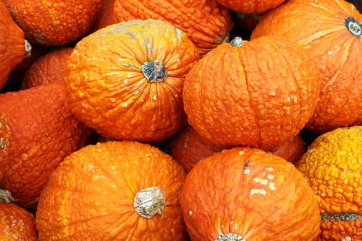 Gourds