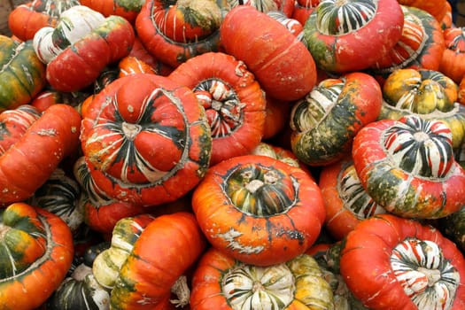 Bishop's Hat or Turk's Turban Pumpkins