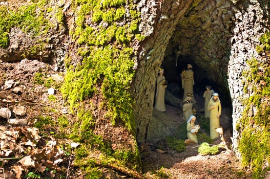 Forest Nativity Scene