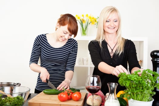 Two attractive young women preparing a healthy meal together in the kitchen with one chopping salad ingredients while the second picks fresh herbs from a potted plant