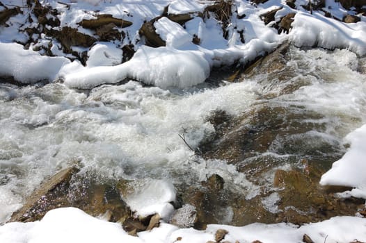 Forest creek in winter