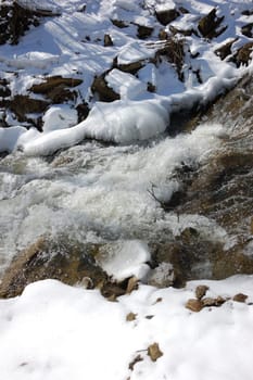Forest creek in winter