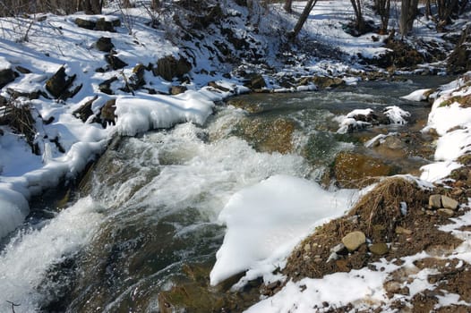 Forest creek in winter