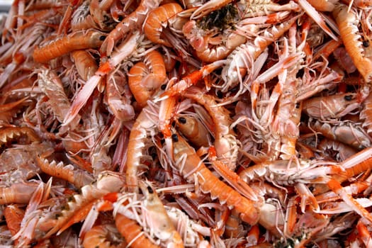 Fish market
