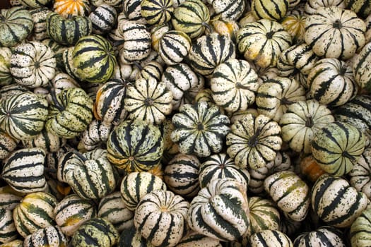 Gourds