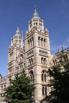 National History Museum in London. England