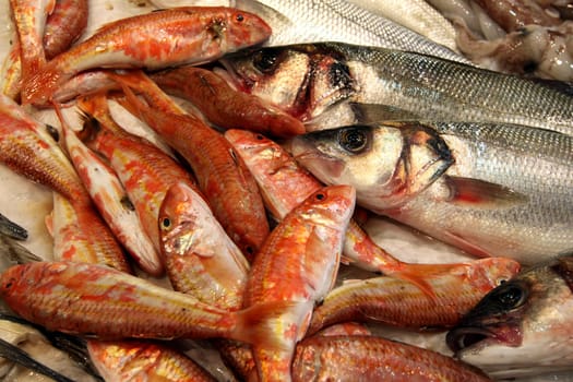 Fish market in La Rochelle. France
