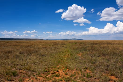 The plains near Fort Union National Monument