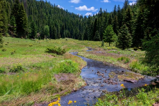 River is flowing through alpine landscape in New Mexico