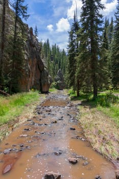 River is flowing through alpine landscape in New Mexico