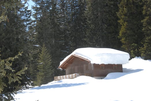 Snowy cabin