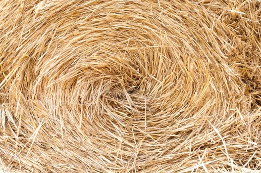 close up detailed view of stack of hay
