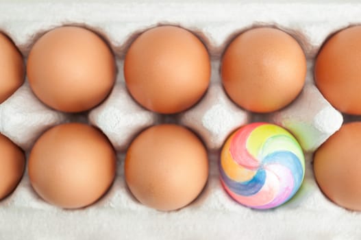colorful painted easter egg in crate with ordinary eggs