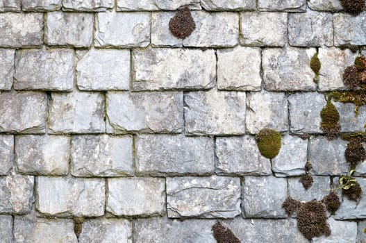 ancient brick wall of white stone covered by moss