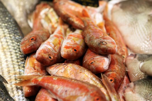 Fish market in La Rochelle