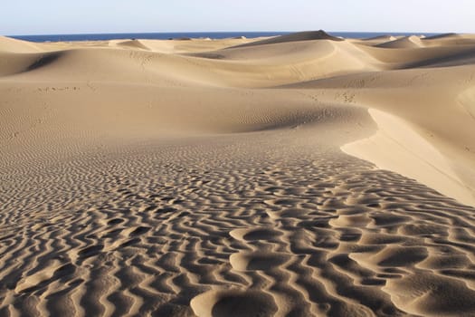 Maspalomas. Gran Canaria