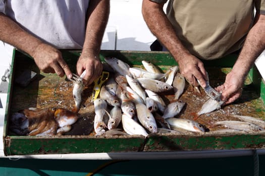 Deep sea fishing. Canary Islands