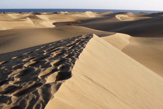 Maspalomas. Gran Canaria