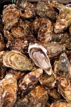 Fresh oysters in La Rochelle. France