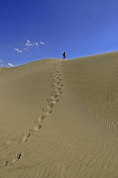 Maspalomas. Gran Canaria