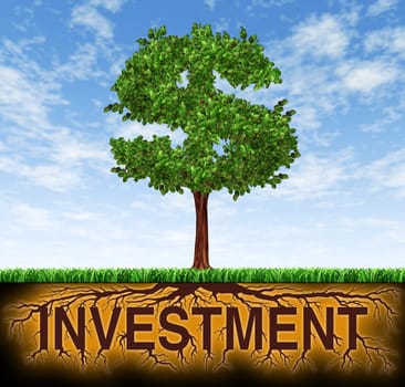 Investment and financial growth symbol with a tree in the shape of a dollar sign and the roots in the shape of the word investment showing profits and long term wealth building for business success and strategic planning for savings and investing.
