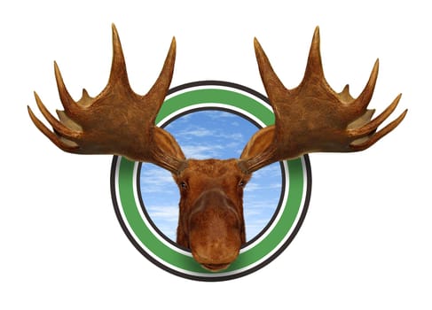 Moose head front view of antlers forest icon isolated on white background representing northern fauna from the wildlife of the Canadian and American north mountains for responsible hunting and natural preservation.