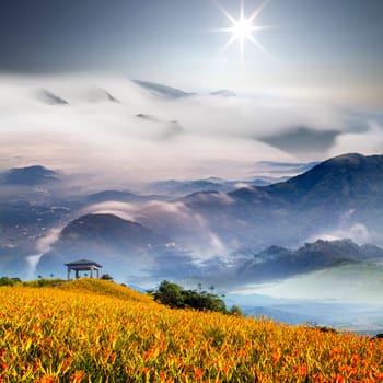 Nice mountain with flower and cloud for adv or others purpose use