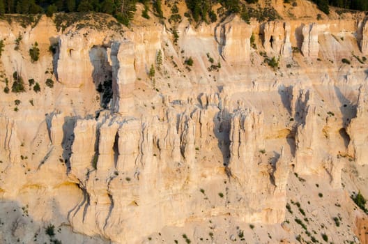 overview in Bryce Canyon National Park in Utah in the United States of America