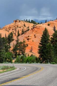 road in Red Canyon National Park in Utah in the United States of America