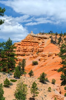 Red Canyon National Park in Utah in the United States of America