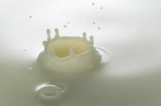 fresh white milk drop close up shoot