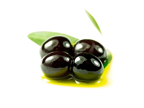 An olive branch with three premium olives on some olive oil on a white background.