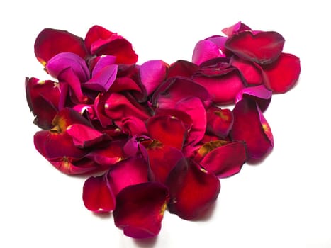 beautiful heart of red rose petals isolated on white