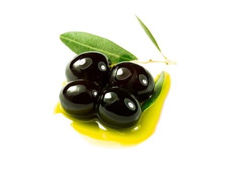 An olive branch with three premium olives on some olive oil on a white background.