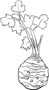 Black and White Cartoon Illustration of Celery Root Vegetable Food Object for Coloring Book