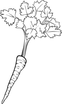Black and White Cartoon Illustration of Parsley Root Vegetable Food Object for Coloring Book