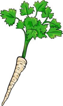 Cartoon Illustration of Parsley Root Vegetable Food Object