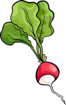 Cartoon Illustration of Radish Vegetable Food Object