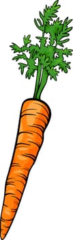 Cartoon Illustration of Carrot Root Vegetable Food Object