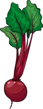 Cartoon Illustration of Beet Vegetable Food Object