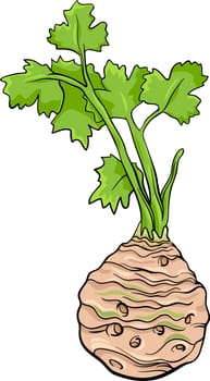 Cartoon Illustration of Celery Root Vegetable Food Object